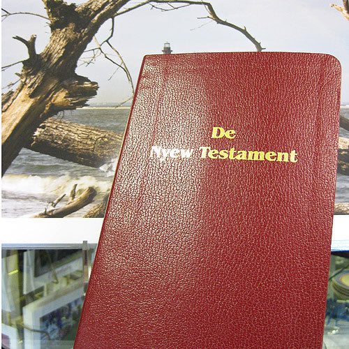 Gullah Bible De Nyew Testament Gullah Gourmet, Inc.