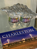 The Charm of Charleston: Architecture, Culture and Nature